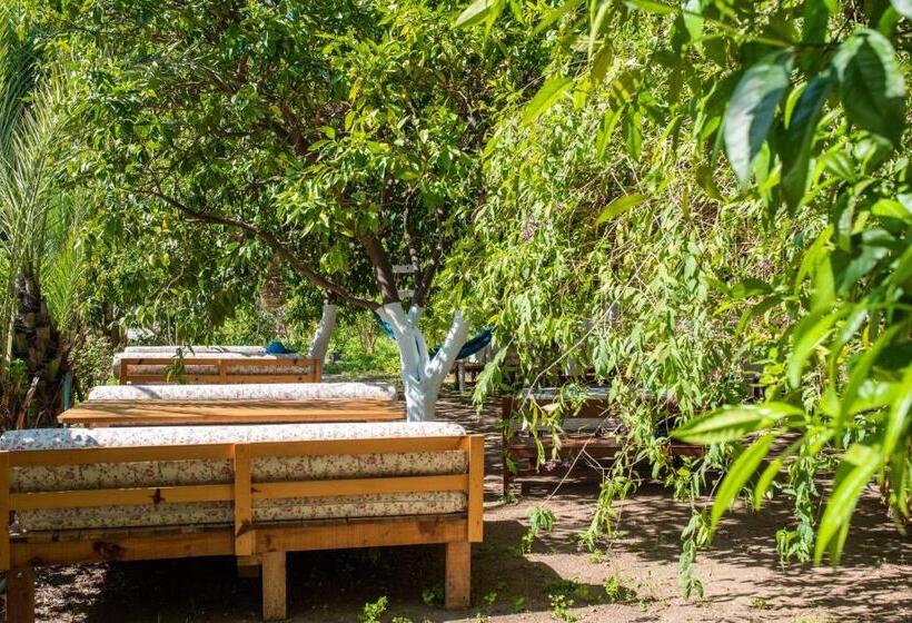 בית מלון כפרי San Simon