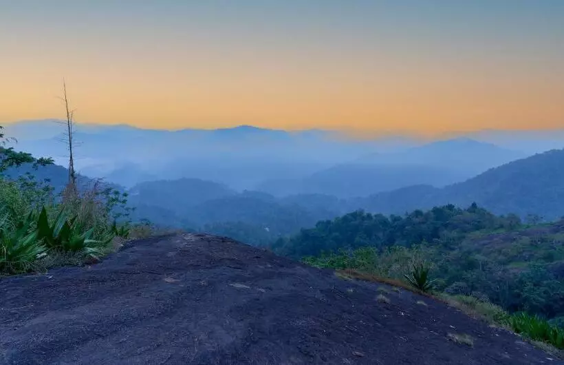 Haze And Kites Resort Munnar