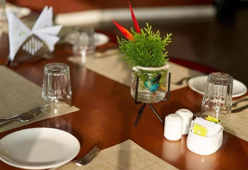 Haze And Kites Resort Munnar