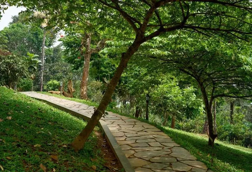 Haze And Kites Resort Munnar