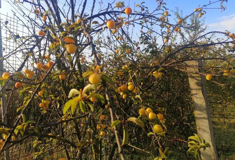 ユースホステル Hostería El Tisaleño