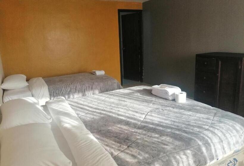 ユースホステル Hostería El Tisaleño