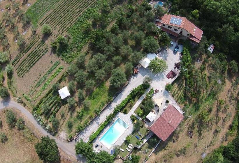 Bed and Breakfast Tenuta Martino