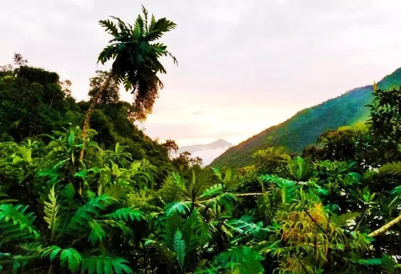 ベッドアンドブレックファースト Finca Petrona