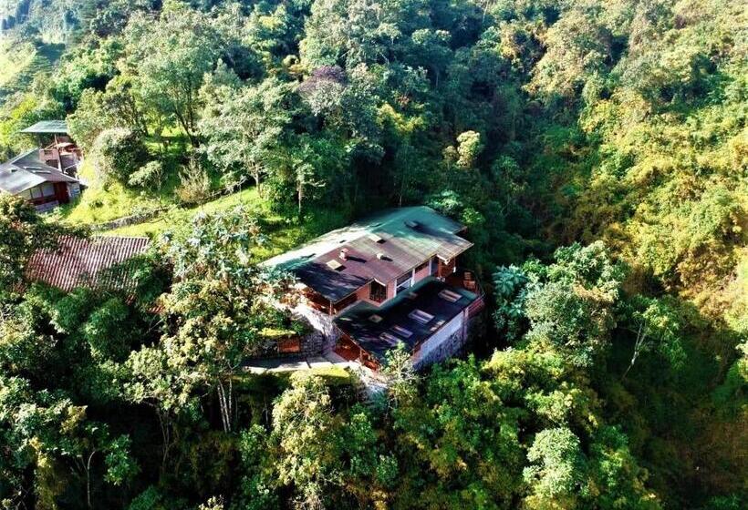 Bed & Breakfast Finca Petrona