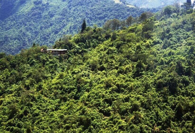 Bed & Breakfast Finca Petrona