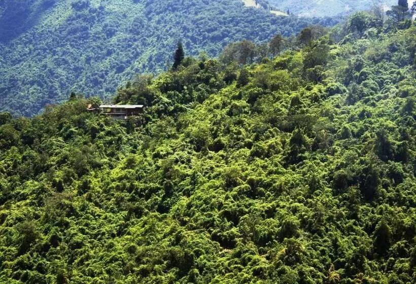 ベッドアンドブレックファースト Finca Petrona