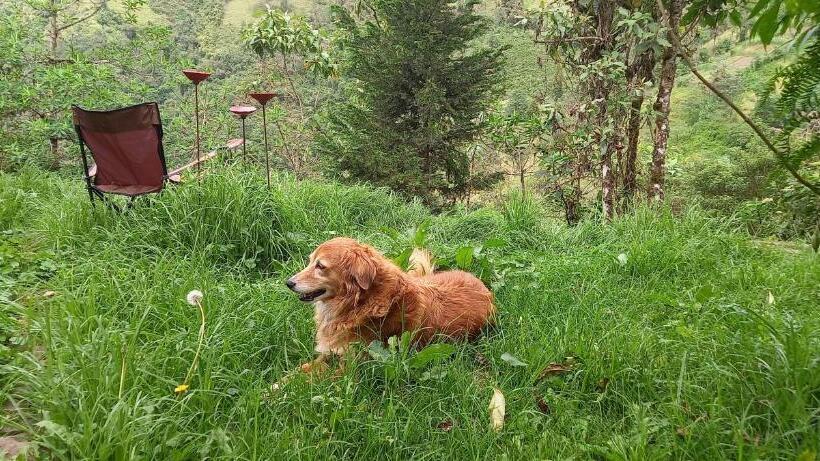 Bed & Breakfast Finca Petrona