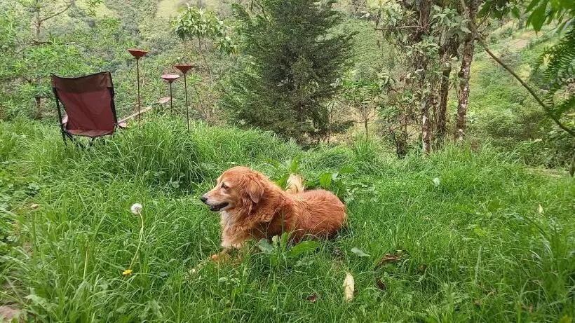 ベッドアンドブレックファースト Finca Petrona