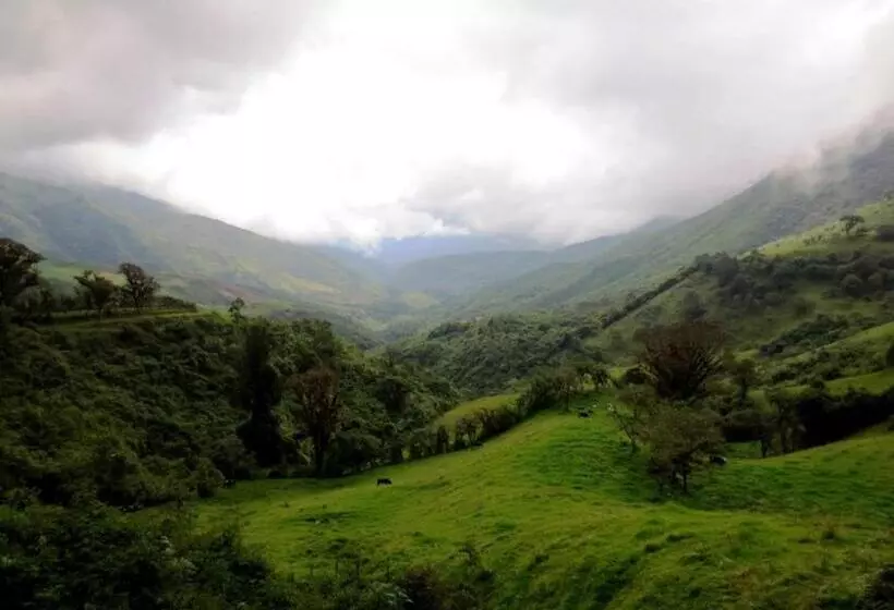 ベッドアンドブレックファースト Finca Petrona