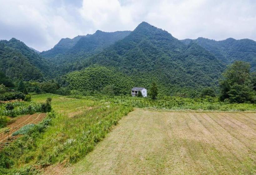 בית מלון כפרי Tree House