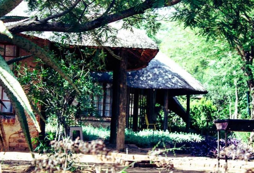 פנסיון African Aces