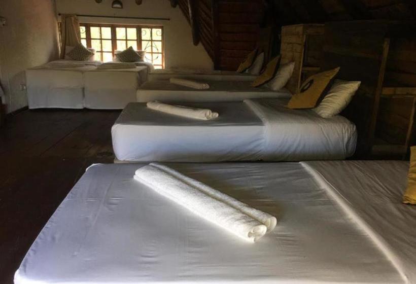 פנסיון African Aces