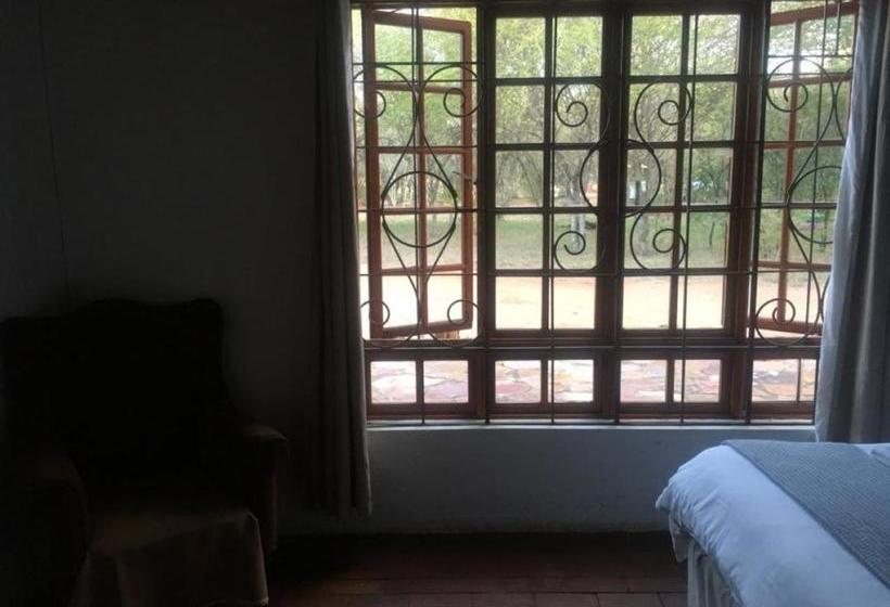 פנסיון African Aces