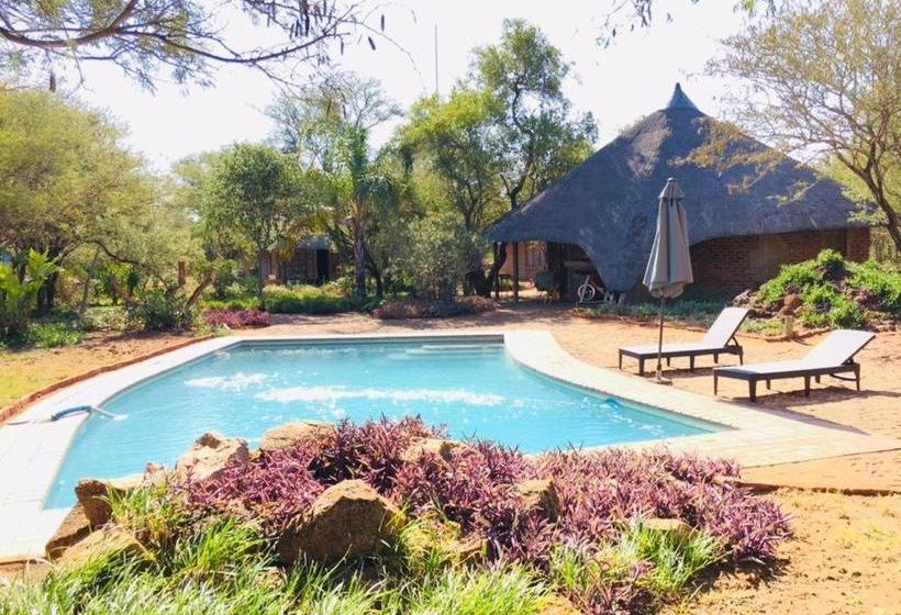 פנסיון African Aces