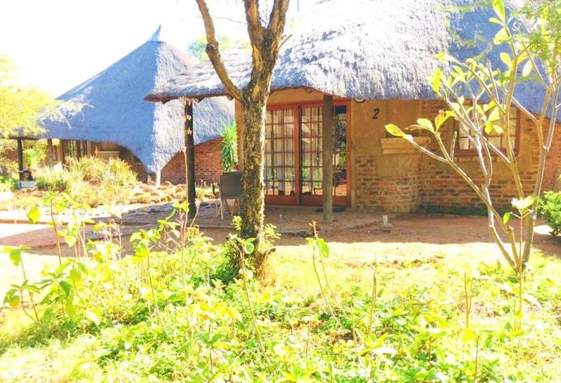 פנסיון African Aces