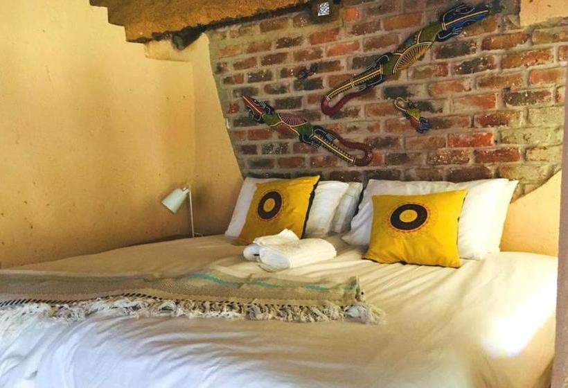 פנסיון African Aces