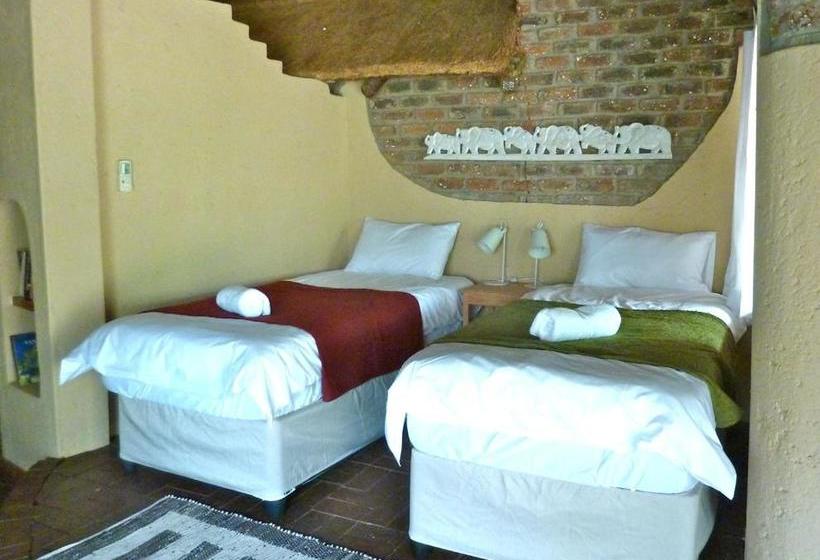 פנסיון African Aces