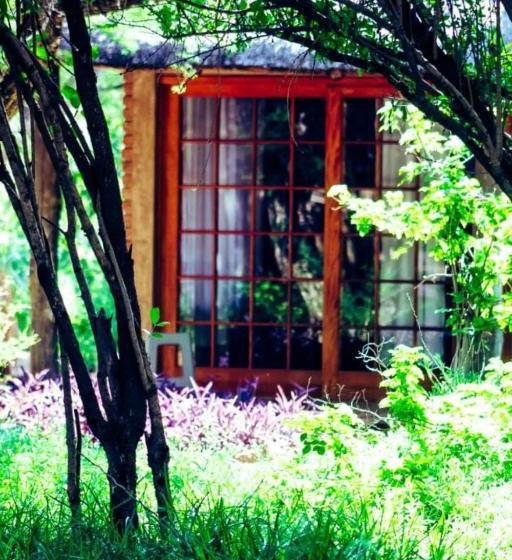 פנסיון African Aces