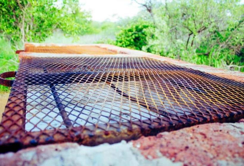 פנסיון African Aces