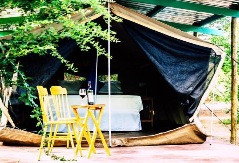 פנסיון African Aces