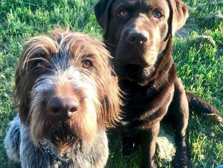 Bed and Breakfast Fonsegre Chambres D'hôtes