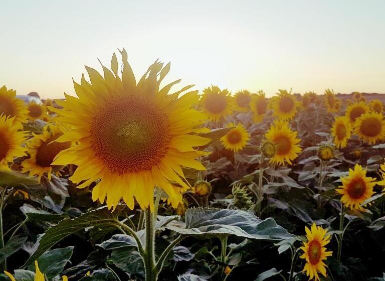 Bed and Breakfast Fonsegre Chambres D'hôtes