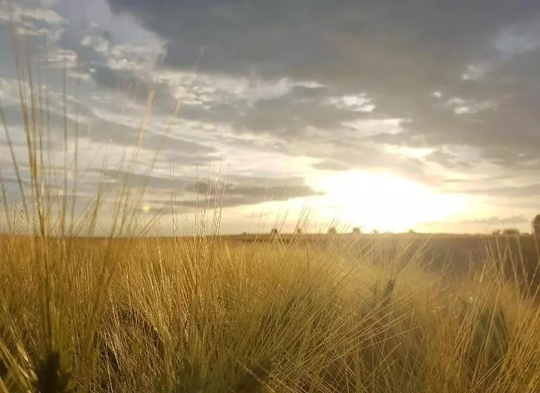 Aamiaismajoitus (B&B) Fonsegre Chambres D'hôtes