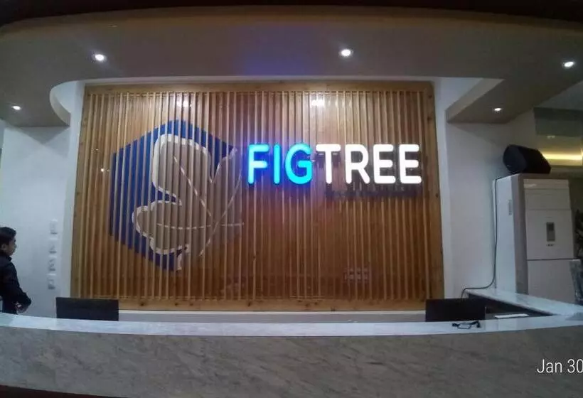 ホテル Figtree