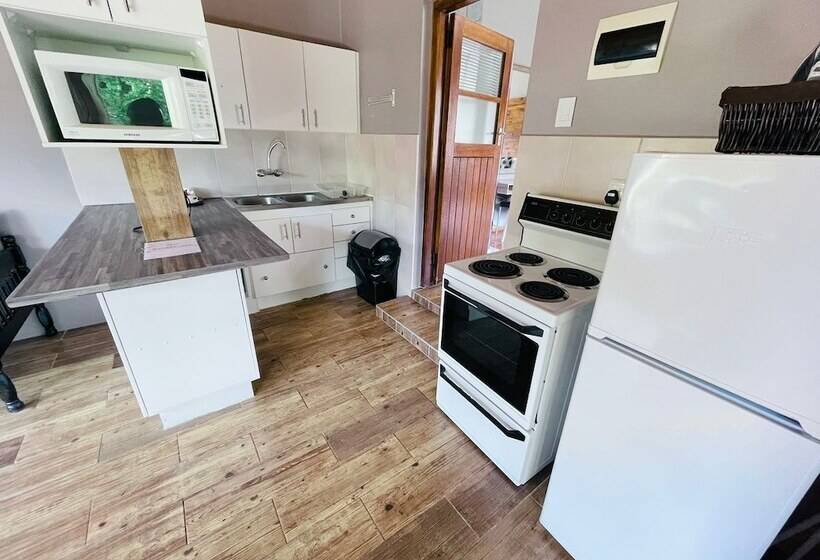 פנסיון Madeira Bed