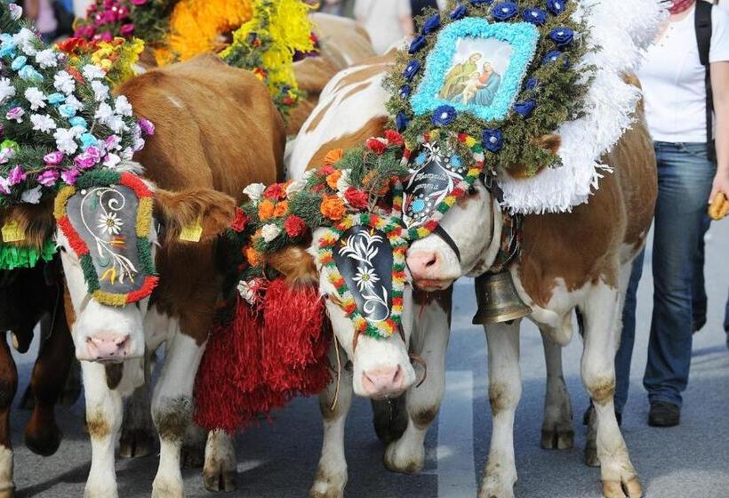 Your Home   City Apartment In Kufstein