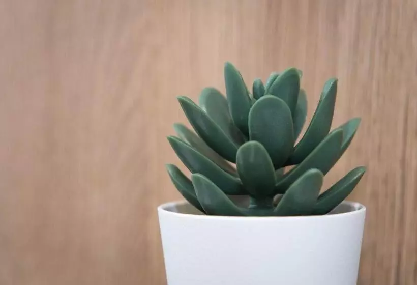 Your Home   City Apartment In Kufstein