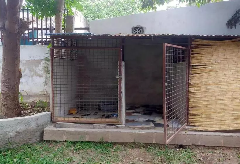 هاستل Ruby   Casa De Hospedes   Backpackers