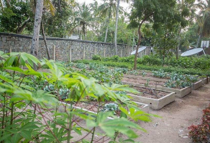 호텔 Amaluna Resorts