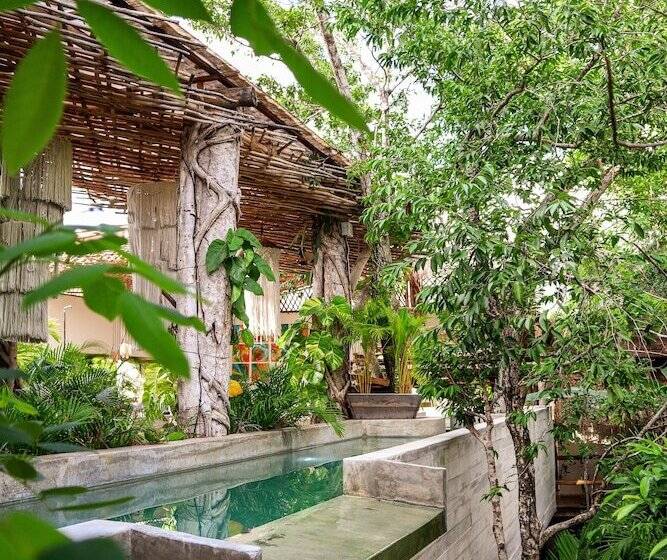 Szálloda Orchid House Tulum Jungle