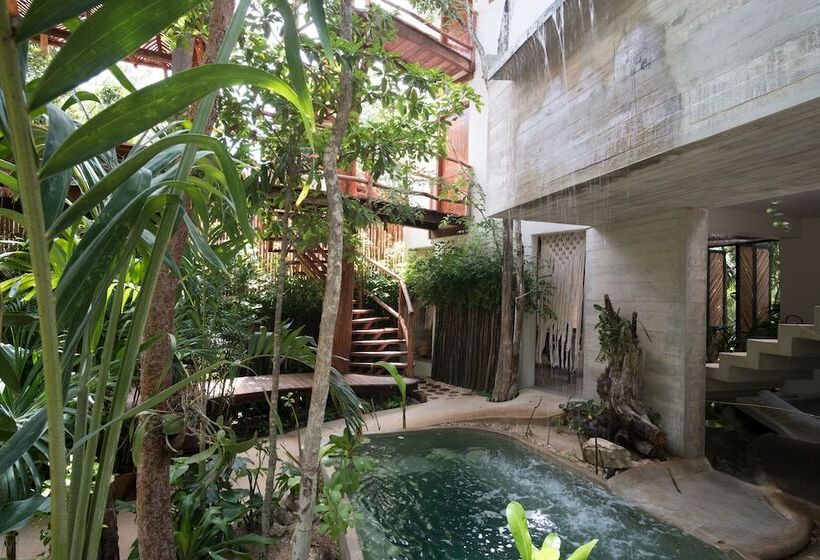 Szálloda Orchid House Tulum Jungle