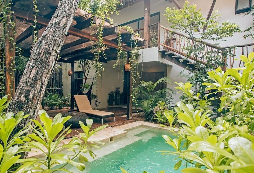 Szálloda Orchid House Tulum Jungle