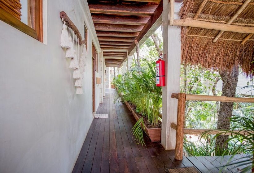 Szálloda Orchid House Tulum Jungle