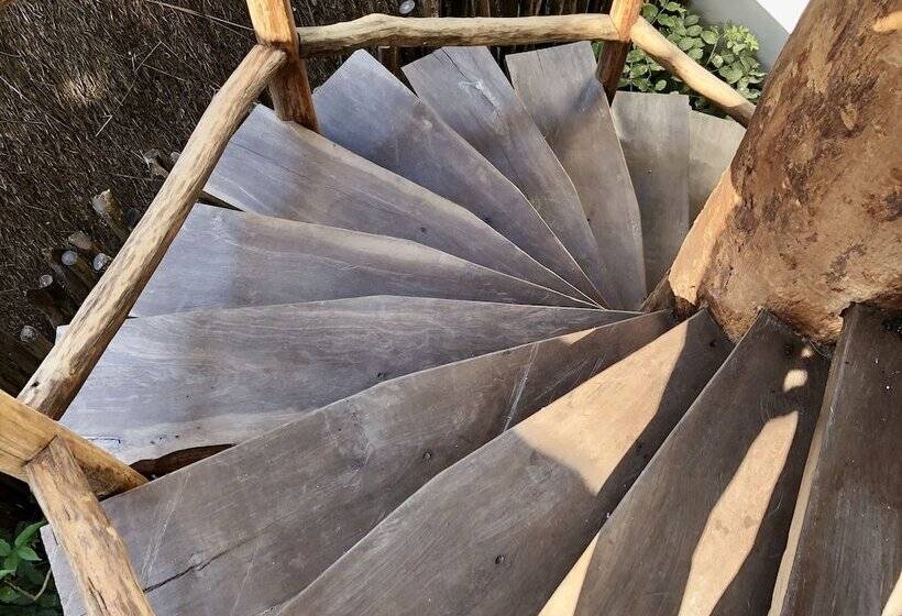 Szálloda Orchid House Tulum Jungle