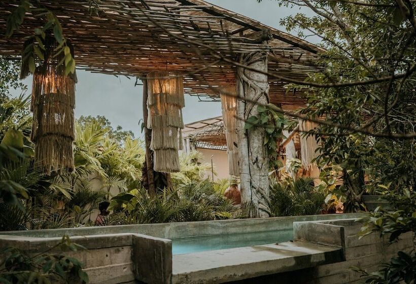 Szálloda Orchid House Tulum Jungle