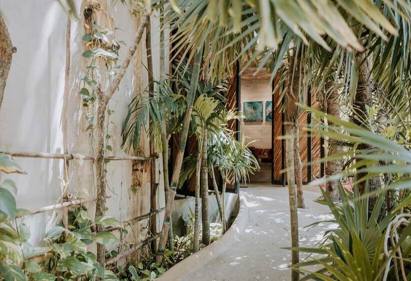 Szálloda Orchid House Tulum Jungle