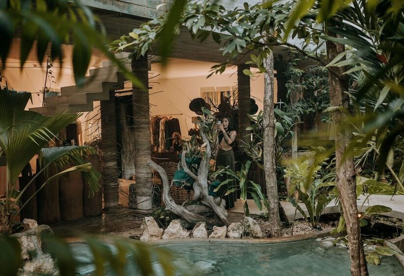 Szálloda Orchid House Tulum Jungle