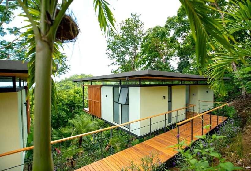 The Green House, Santa Teresa   Adults Only