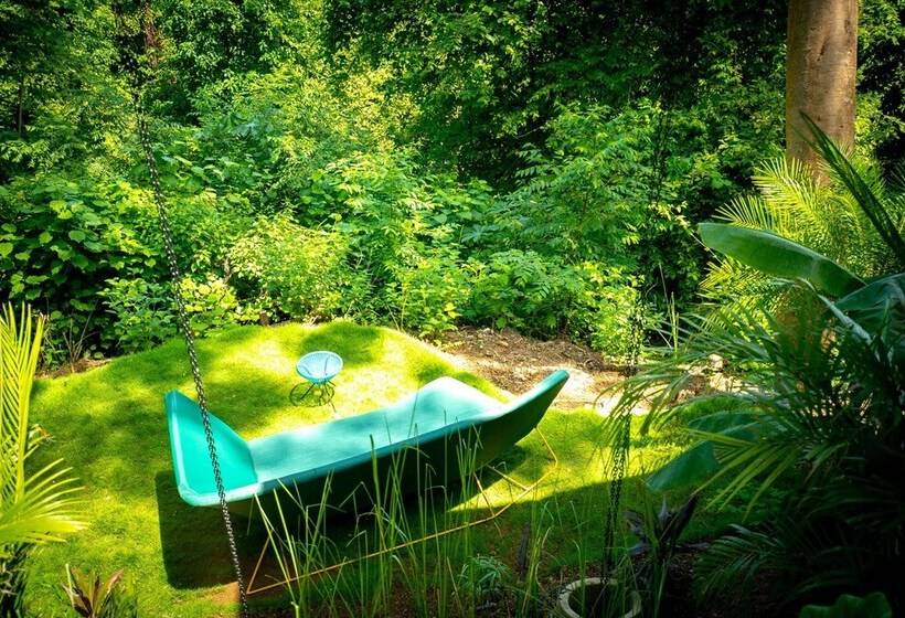 The Green House, Santa Teresa   Adults Only