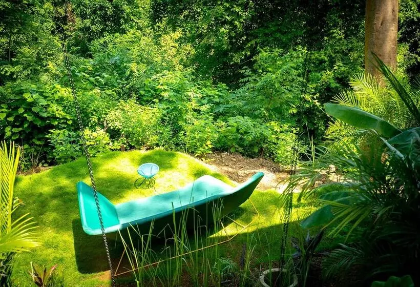 The Green House, Santa Teresa   Adults Only