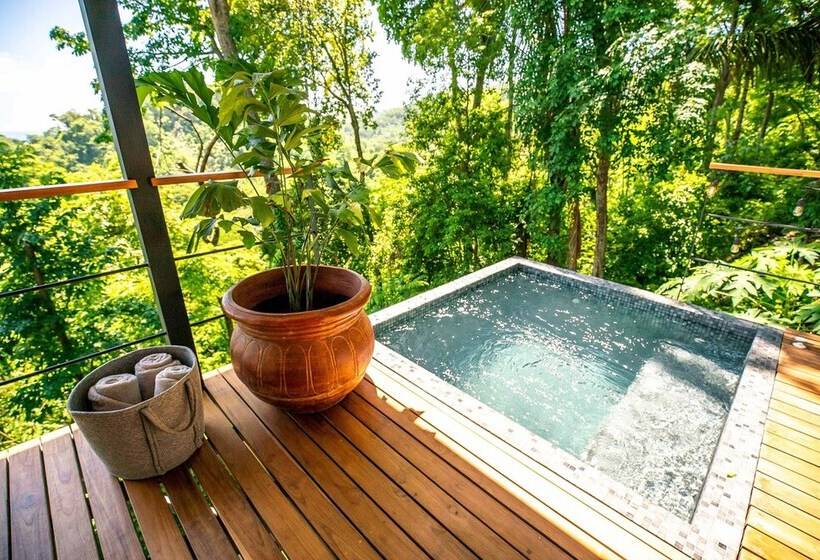 The Green House, Santa Teresa   Adults Only