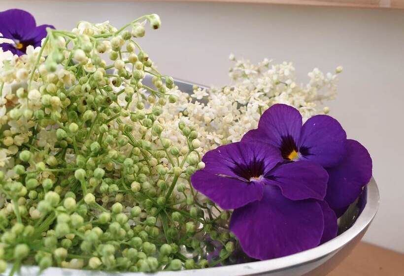 Bed And Breakfast Mittelkärnten