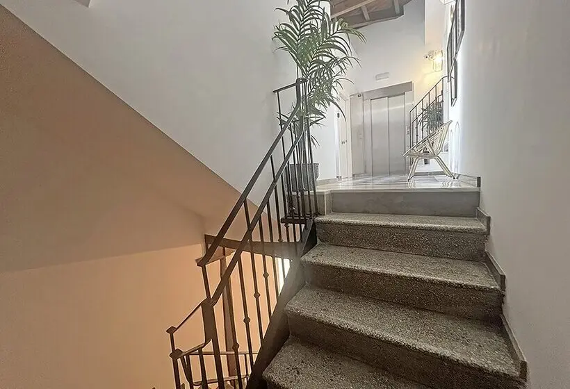 Estudio Real Suites 3000