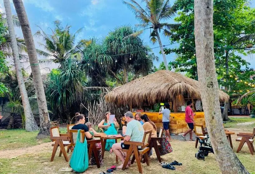 La Cove Beach Front Hostel