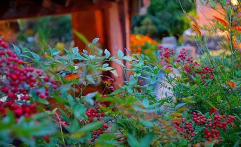 Pension (Hôtel basse catégorie) Keunsu S Chogajib